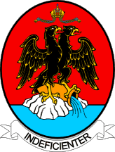 Grb grada Rijeke prihvaćen